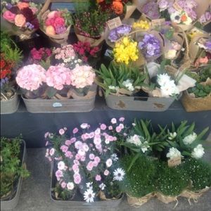 Meet your Posher, Jane